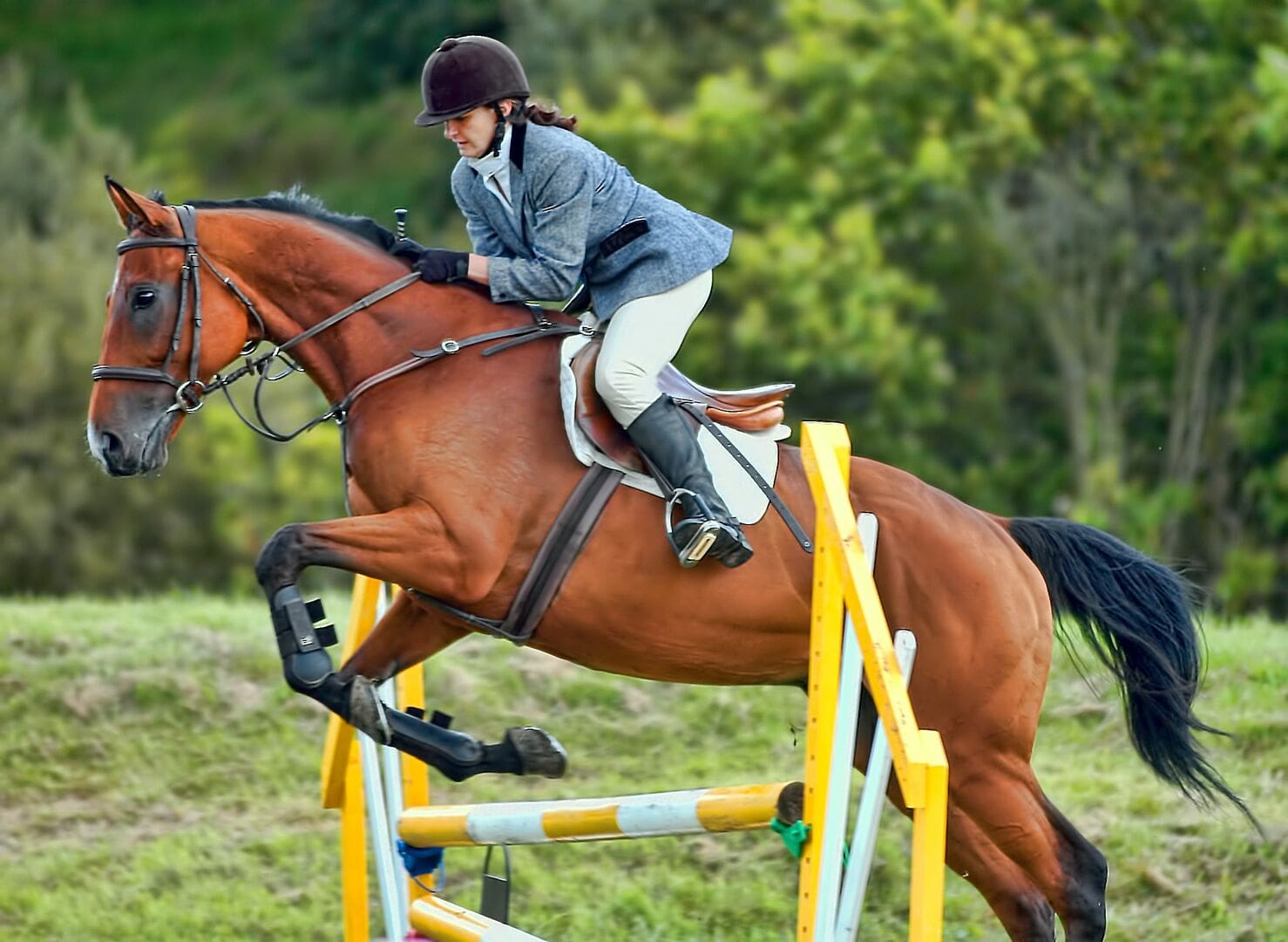 Breaking Developments and Human Stories from Every Corner of the Planet